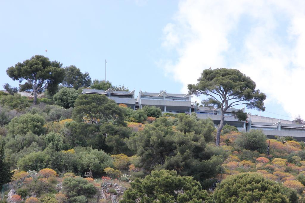 Appartement Zen Costa Plana Cap-d'Ail Rum bild